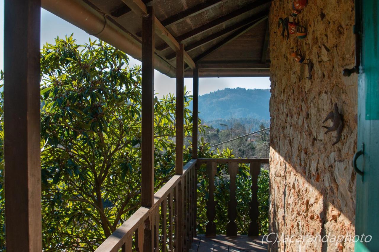 Villa La Pieve カマイオーレ エクステリア 写真