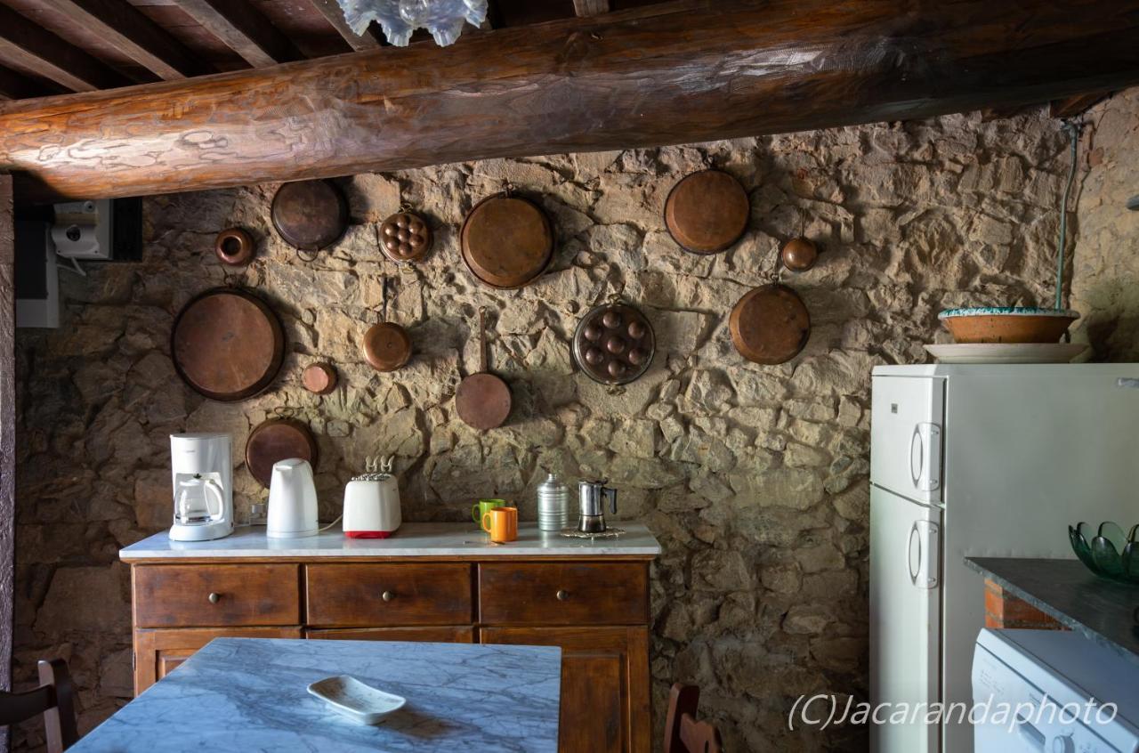 Villa La Pieve カマイオーレ エクステリア 写真